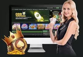 myjudi96